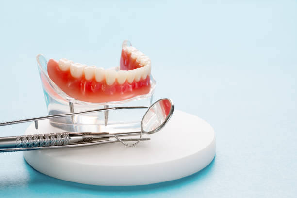 Trusted Leadville, CO Holistic Dental Care Services Experts